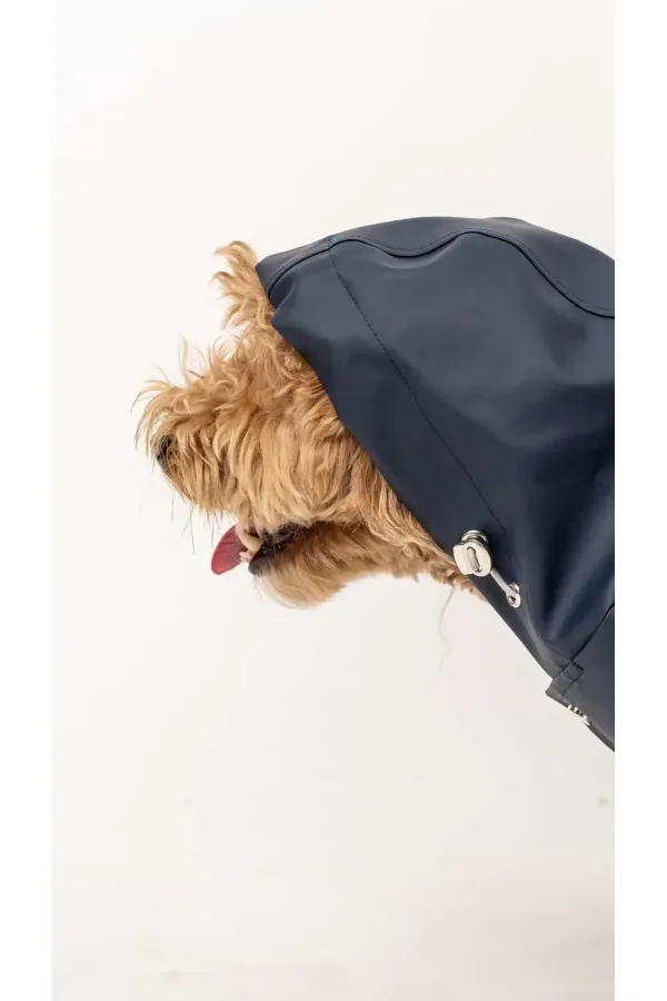 Köpek Yağmurluk - Lacivert