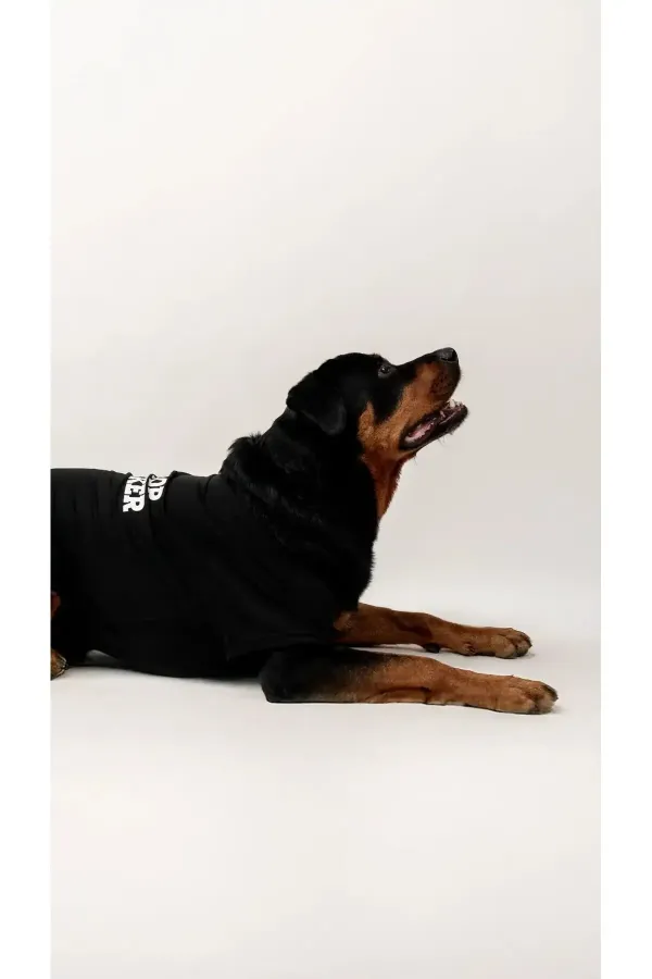 Poop T-Shirt Köpek