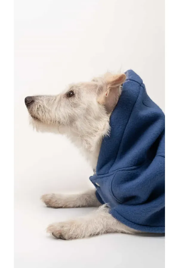 Köpek Kaban - İndigo