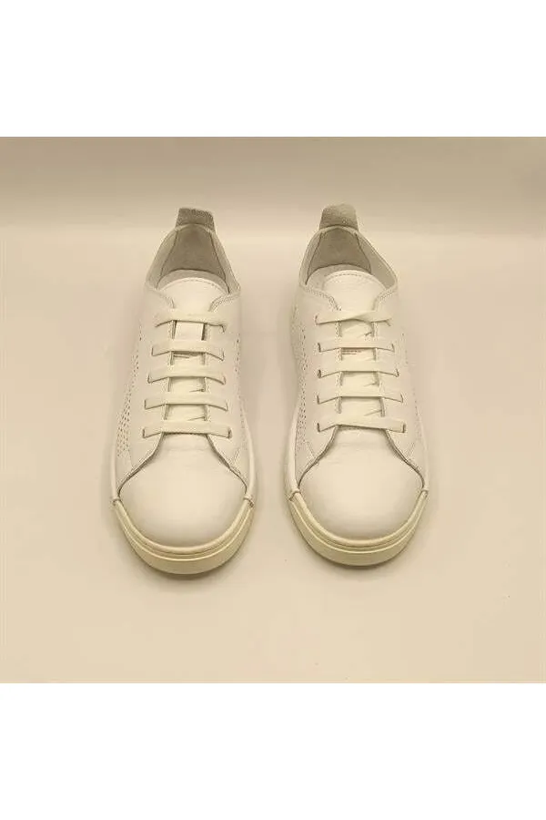 Baskets Daisy blanches en cuir véritable pour femmes