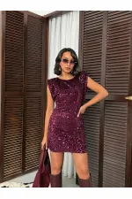Sequined Velvet Dress - Plum | F2049