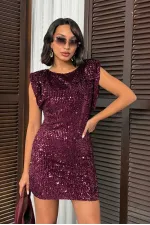 Sequined Velvet Dress - Plum | F2049