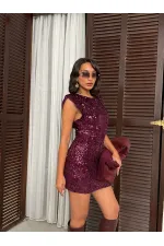 Sequined Velvet Dress - Plum | F2049