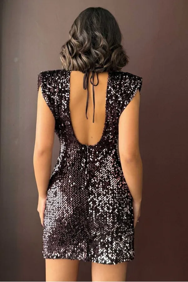 Sequined Velvet Dress - Coffee | F2049
