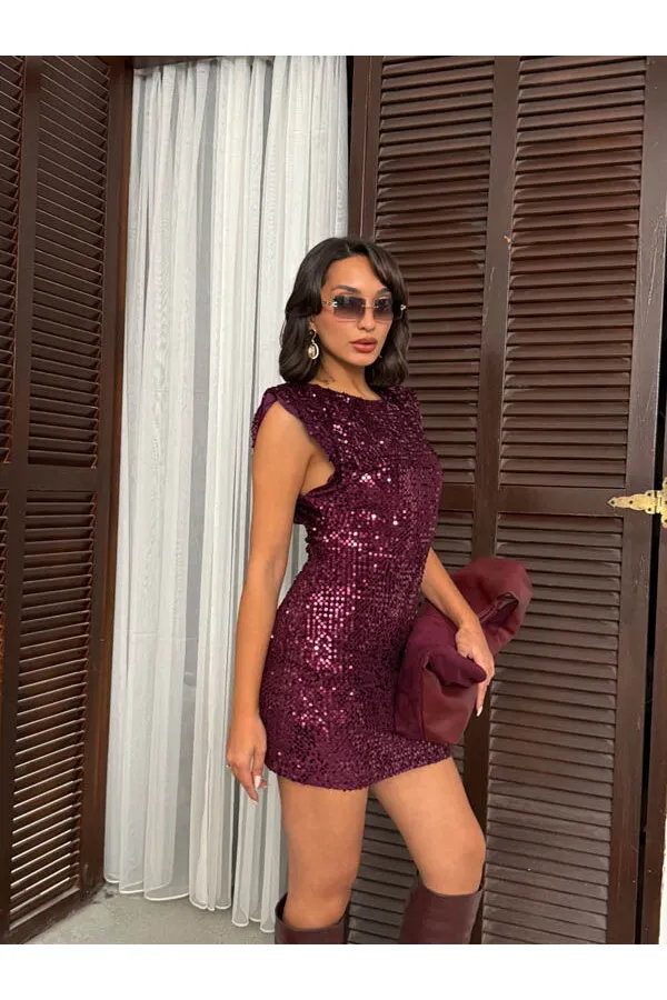 Sequined Velvet Dress - Plum | F2049