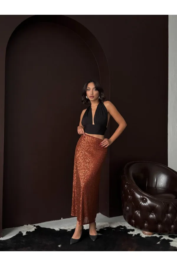 Topshow Brown Sequined Long Skirt - High Waist, Elegant Evening Dress Combination