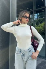 Turtleneck Slim Fit Knitted Blouse