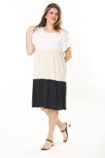 Kadın Büyük Beden Renkli Renk Kombinli Katlı Kısa Kol Elbise 65N37874