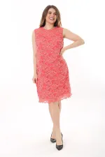 Kadın Büyük Beden Nar Astarlı Dantel Elbise 65N37637