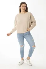 Kadın Büyük Beden Lila Yarasa Kol Kendinden Çizgili Yün Viskon Bluz 65N37007