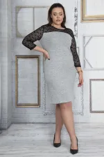 Kadın Antrasit Roba Ve Kolları Dantel Elbise 65N23654