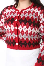 Kadın Büyük Beden Kırmızı Baklava Desen Ön Düğmeli Triko Hırka 65N38863