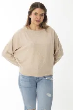 Kadın Büyük Beden Lila Yarasa Kol Kendinden Çizgili Yün Viskon Bluz 65N37007