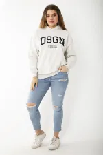 Kadın Büyük Beden Gri İçi Şardonlu Nakış Ve Kapşon Detaylı Sweatshirt 65N37208