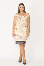 Kadın Sarı Yaka Detaylı Renkli Elbise 65N27716