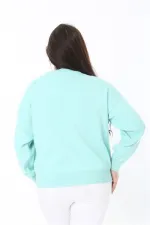 Pull en maille brodé Suzine vert grande taille pour femme 65N38862