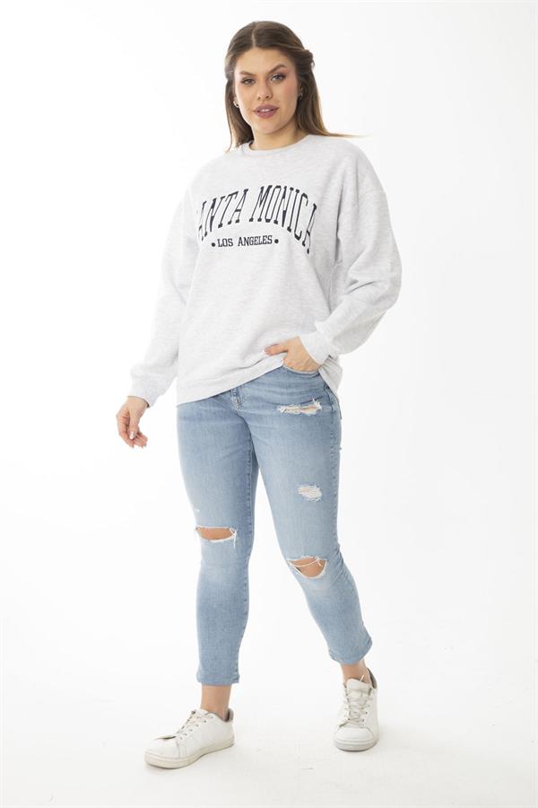 Women's Plus Size Gray Embroidered Print Detailed Swatshirt 65N37010