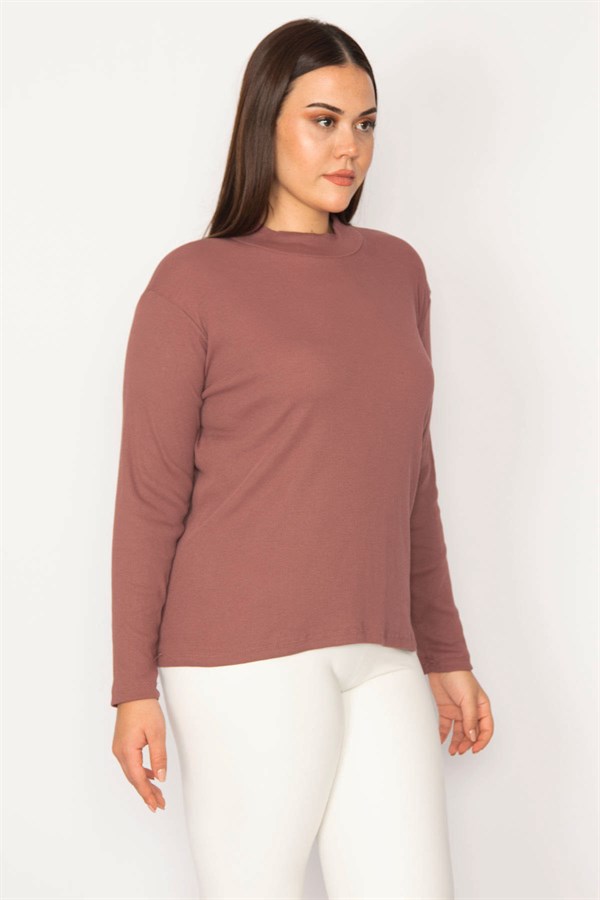 Kadın Gül Kurusu Dik Yakalı Likralı Bluz 65N30162