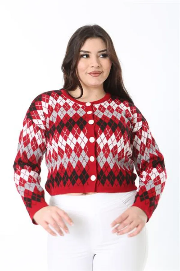 Kadın Büyük Beden Kırmızı Baklava Desen Ön Düğmeli Triko Hırka 65N38863