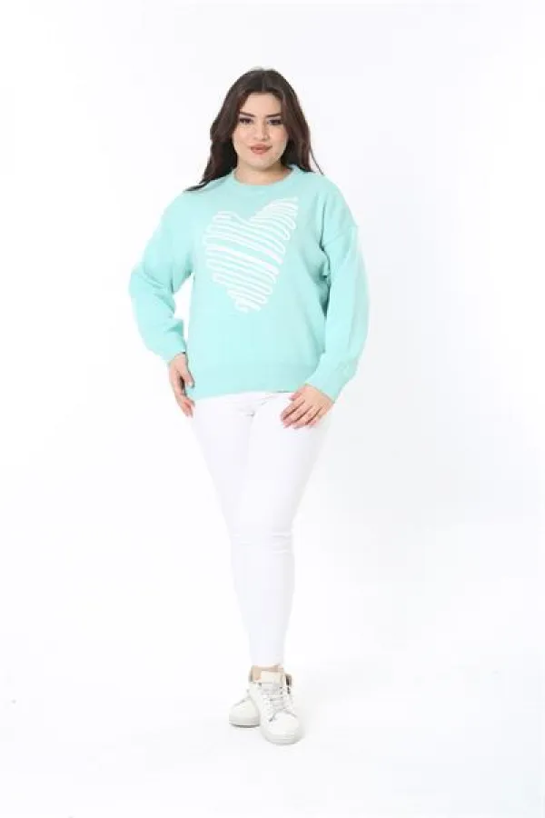 Pull en maille brodé Suzine vert grande taille pour femme 65N38862