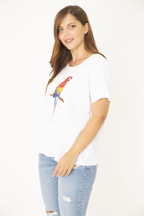 Kadın Büyük Beden Beyaz Pamuk Kumaş Ön Baskılı Bluz 65N36938