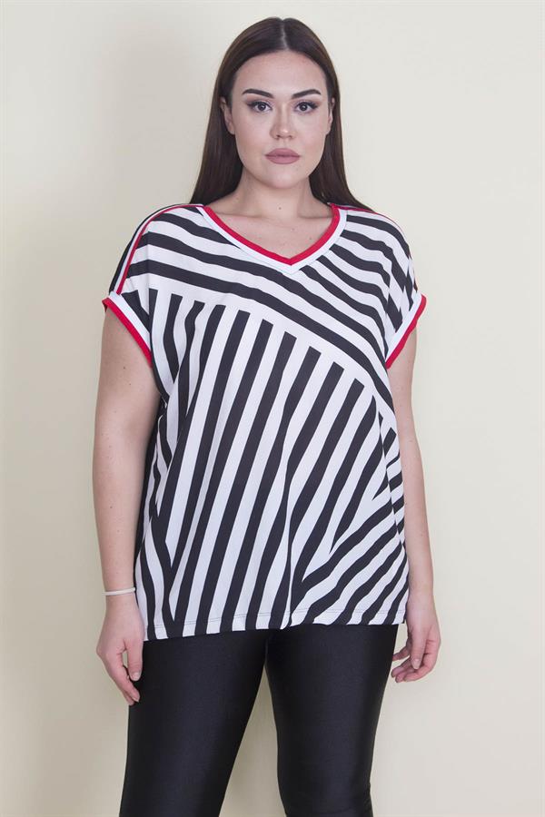 Kadın Kemik Önü Desenli Krep Kumaş Çizgi Kombinli V Yakali Bluz 65N22132