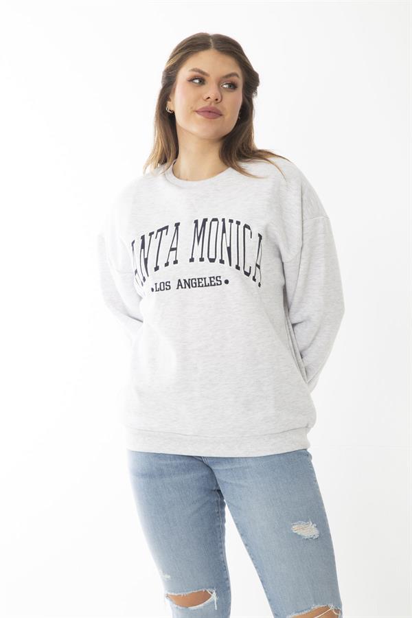 Women's Plus Size Gray Embroidered Print Detailed Swatshirt 65N37010