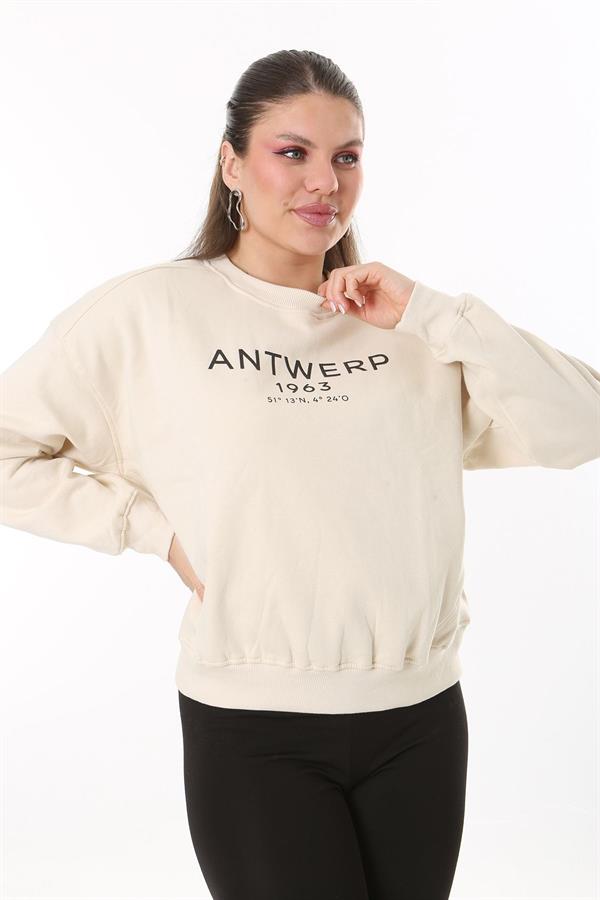 Women's Plus Size Beige Fabric Front Printed Sweatshirt with Raised Interior 65N37719