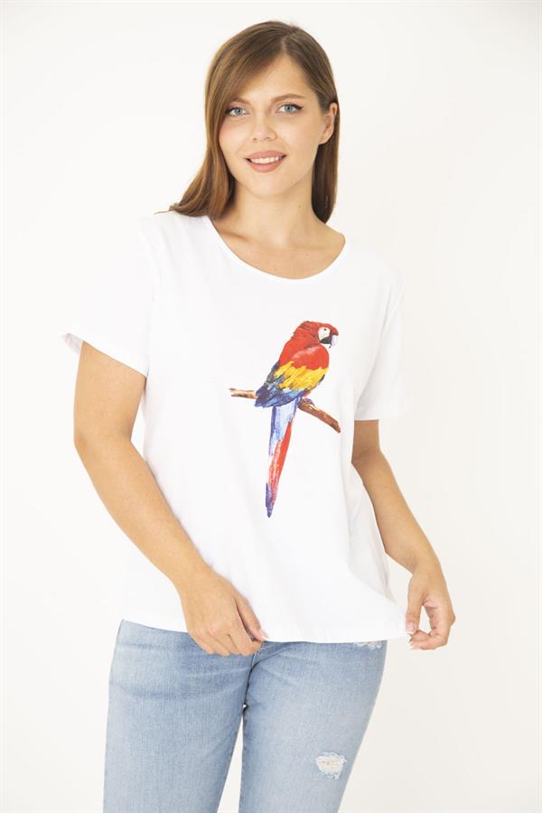 Kadın Büyük Beden Beyaz Pamuk Kumaş Ön Baskılı Bluz 65N36938