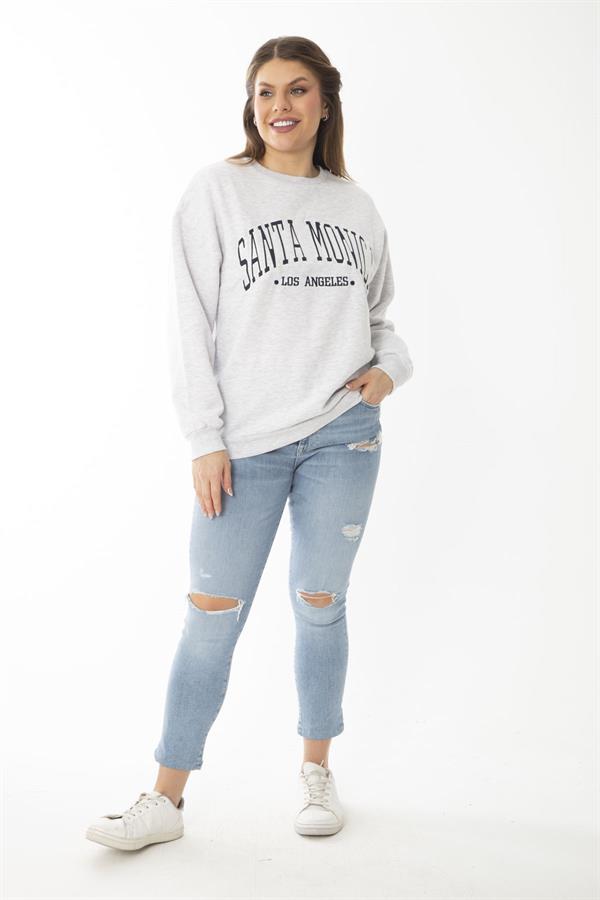 Women's Plus Size Gray Embroidered Print Detailed Swatshirt 65N37010