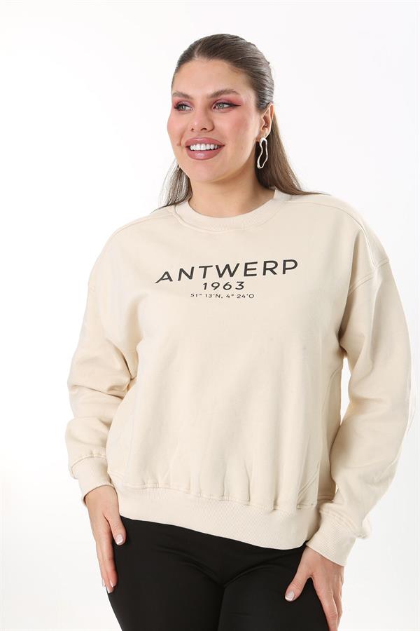 Women's Plus Size Beige Fabric Front Printed Sweatshirt with Raised Interior 65N37719