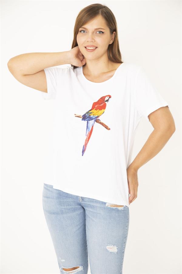 Kadın Büyük Beden Beyaz Pamuk Kumaş Ön Baskılı Bluz 65N36938