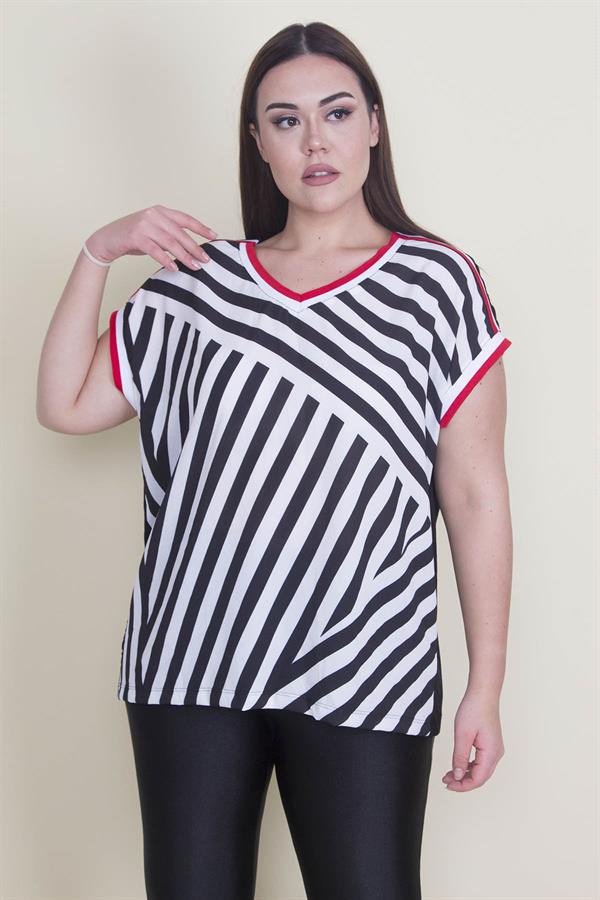 Kadın Kemik Önü Desenli Krep Kumaş Çizgi Kombinli V Yakali Bluz 65N22132