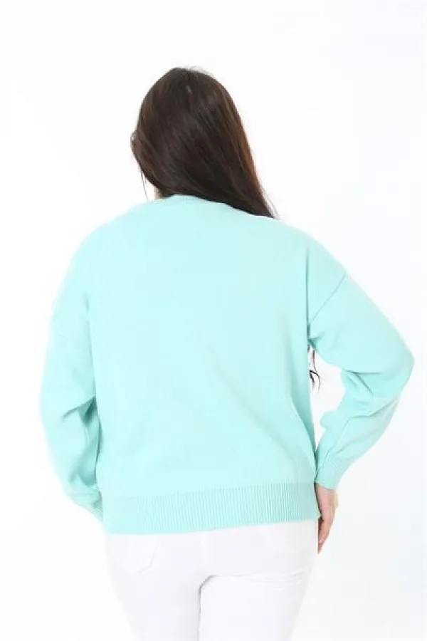 Pull en maille brodé Suzine vert grande taille pour femme 65N38862