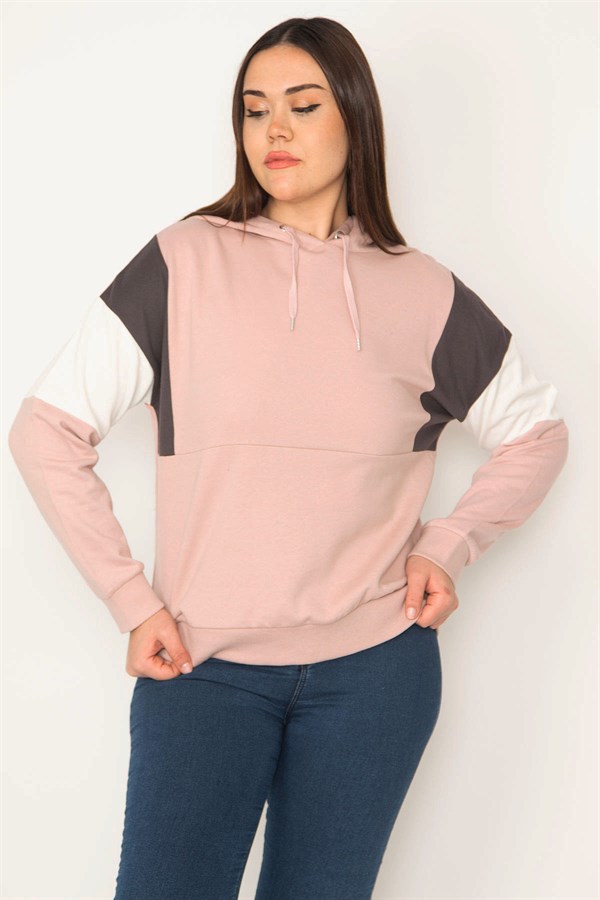 Women's Rose Pink Color Detailed Hooded Sweatshirt 65N31367