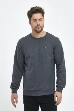 Erkek Antrasit Bisiklet Yaka Nakış Detaylı  Regular Fit Sweatshirt