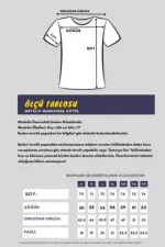 Men's Multicolored T-Shirt, Regular Fit, Relaxed Cut, V-Neck, 5-Pack Basic T-Shirts