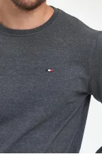 Erkek Antrasit Bisiklet Yaka Nakış Detaylı  Regular Fit Sweatshirt