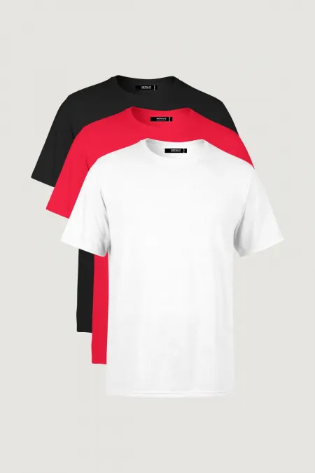 Erkek Çok Renkli T- Shirt Regular Fit Rahat Kesim Bisiklet Yaka 3'lü Basic Tişört Paketi