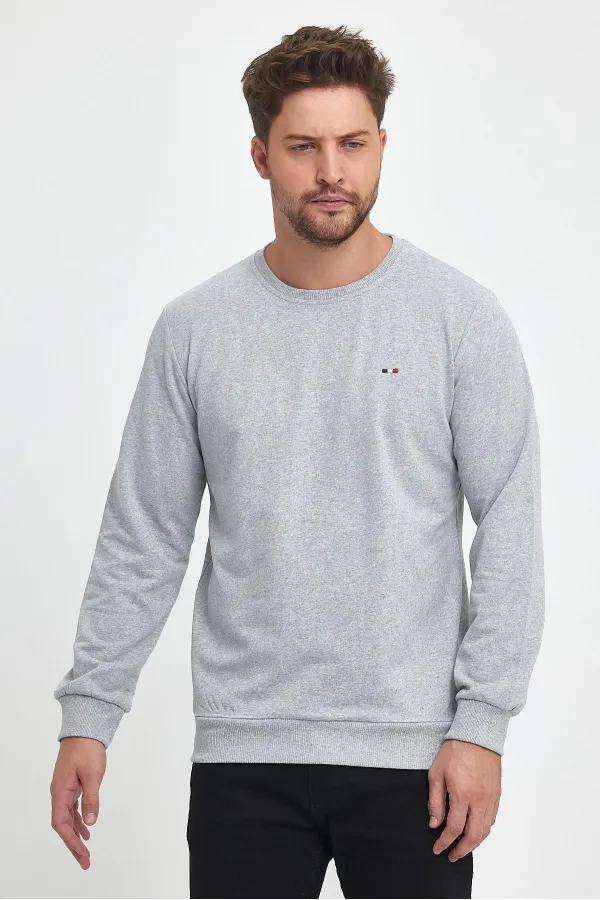Erkek Gri Bisiklet Yaka Nakış Detaylı Regular Fit Sweatshirt