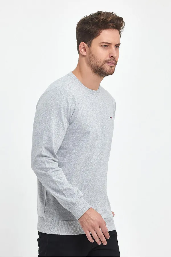 Erkek Gri Bisiklet Yaka Nakış Detaylı Regular Fit Sweatshirt