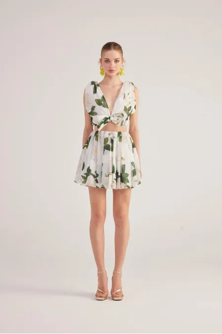 Équipe de Frances Blanche