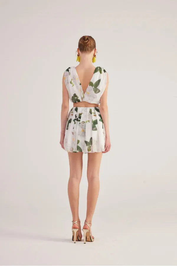 Équipe de Frances Blanche