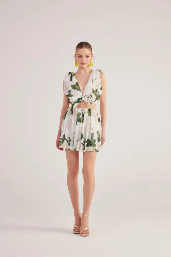 Équipe de Frances Blanche