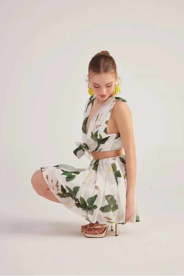 Équipe de Frances Blanche