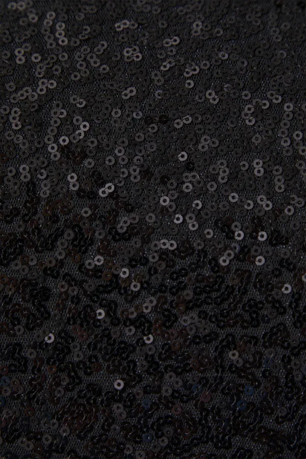 SEQUINED STRIPED CREPE JACKET