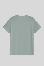 Men's T-shirt, Standard Fit, Basic Crew Neck T-shirt, BASIC-NO MODEL1