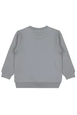 Boys Sweatshirt Km 2-5 Years Gray - Package