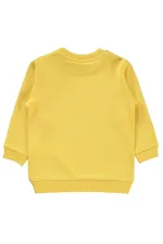 Bebek Sweatshirt 0-24 Ay Hardal - Paket