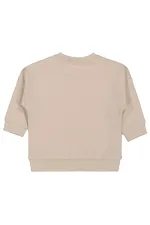 Baby Sweatshirt 0-24 Months Stone Color - Pack